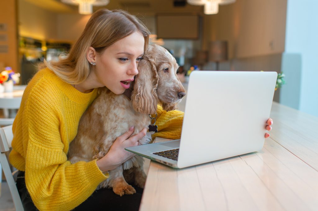 Image représentative mettant en avant l'affection des chiens pour les croquettes Youky, une déclaration visuelle d'amour et de satisfaction