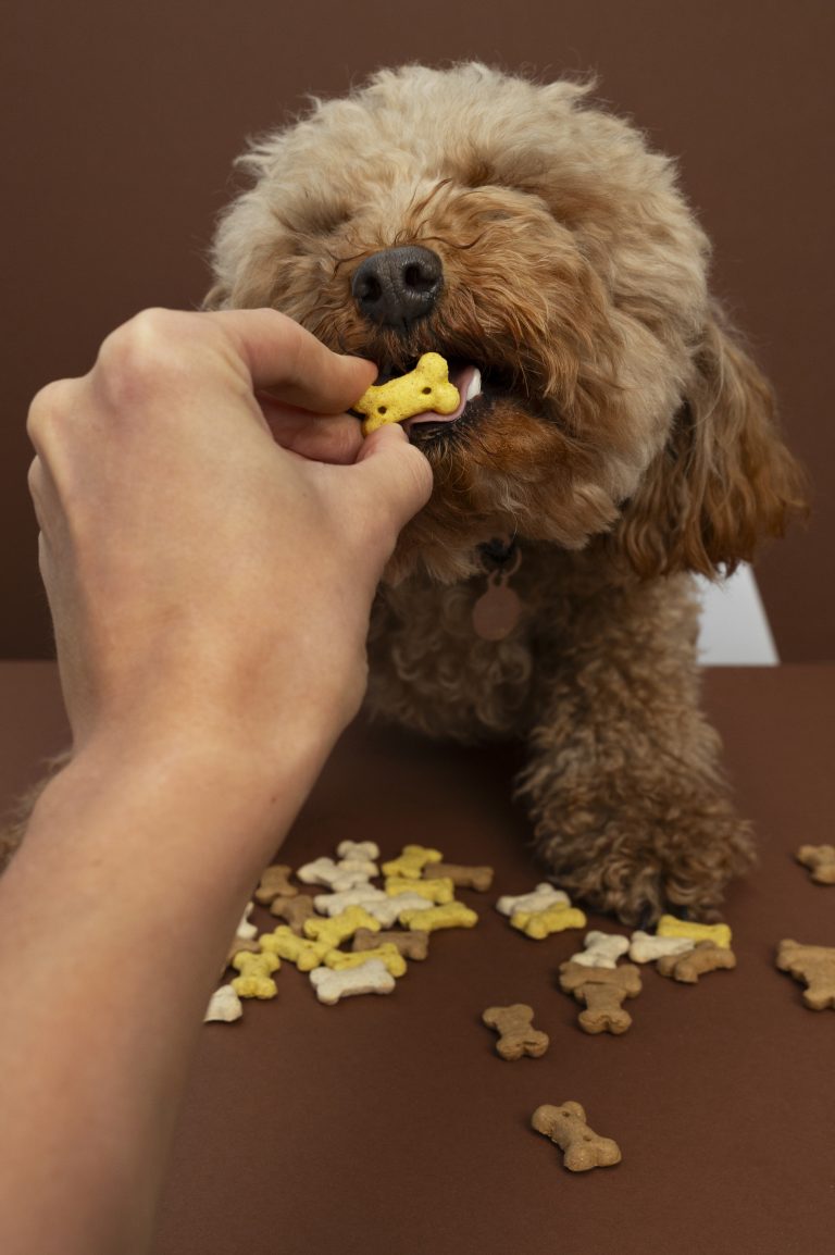 Croquettes spéciales pour chiens avec allergies alimentaires