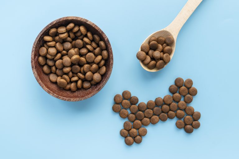 Image représentative des croquettes Youky Bien-Être Digestif, une solution délicieuse pour favoriser une digestion saine chez les chiens