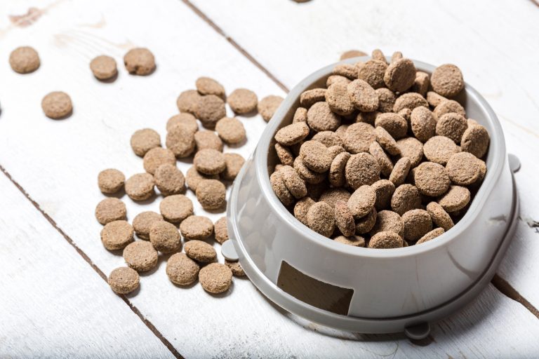 Image représentative des croquettes Youky, une promesse de qualité, de saveur et de bien-être pour les chiens exigeants