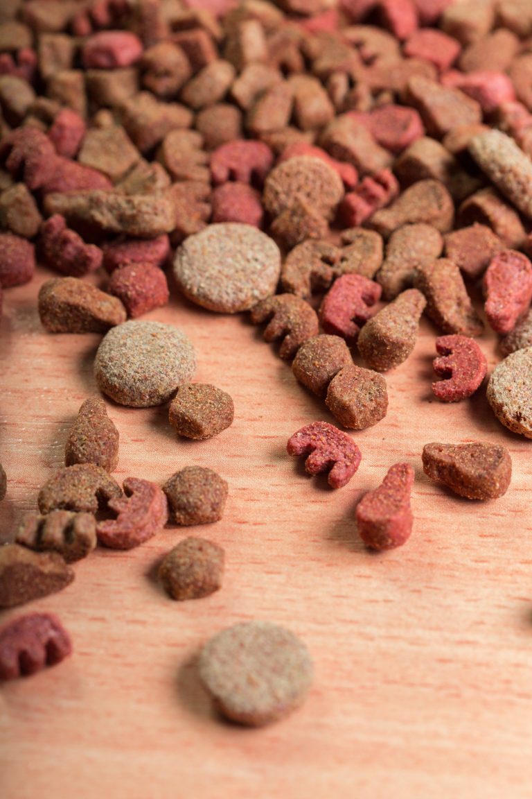 Image illustrant les croquettes Youky Naturellement Canin, une option premium pour les propriétaires de chiens soucieux d'offrir une alimentation saine et naturelle