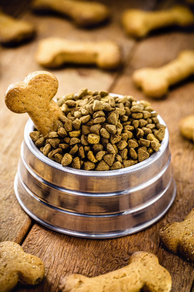 Image représentative des croquettes Youky Excellence Premium, une expérience gastronomique pour les chiens exigeants en quête de qualité supérieure