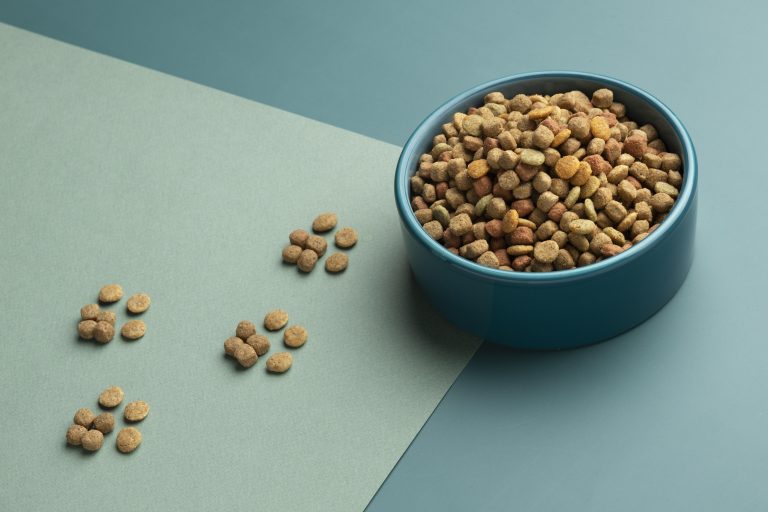 Sachet de croquettes sans céréales pour chien, alimentation naturelle et saine