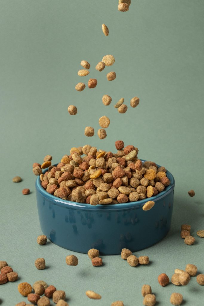 Image représentative des croquettes sans gluten de Youky, une alternative nutritive et délicieuse pour les chiens sensibles aux céréales