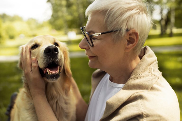 Croquettes pour chiens âgés enrichies en nutriments essentiels