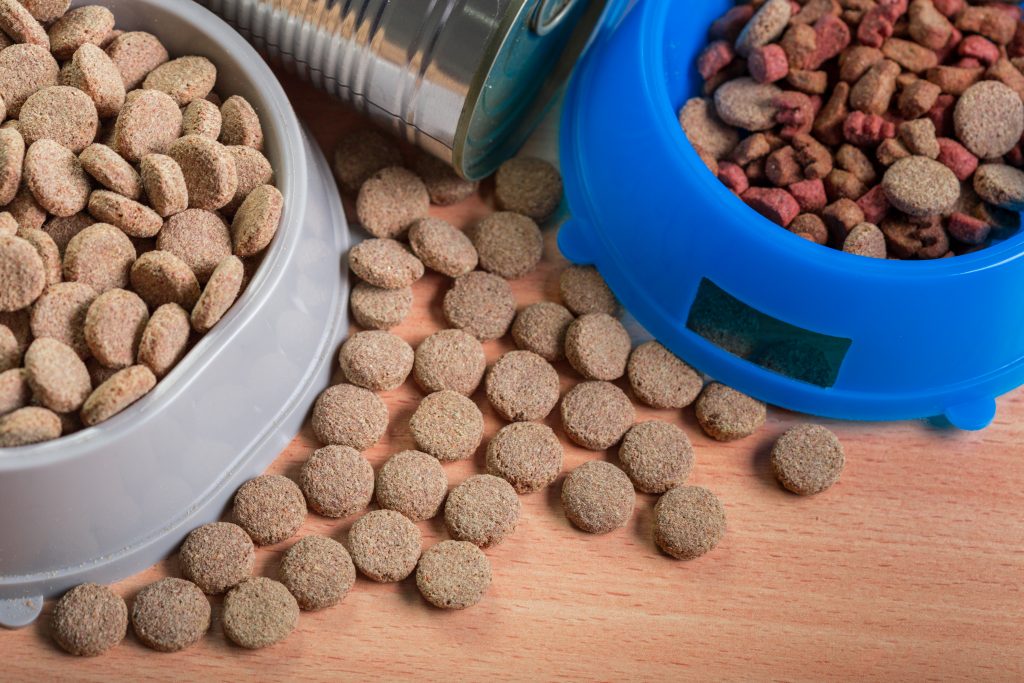 Image évocatrice des croquettes Youky, une invitation visuelle à découvrir l'excellence de notre nutrition canine