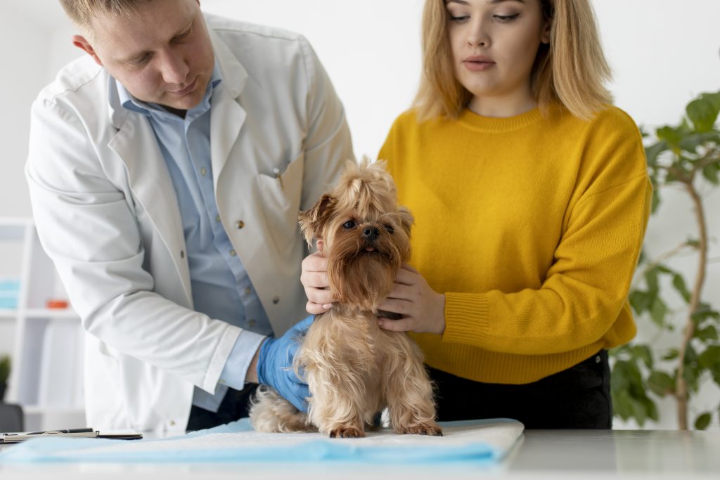 Image représentative des Croquettes Vétérinaires Youky, la référence en nutrition canine recommandée par les professionnels de la santé animale