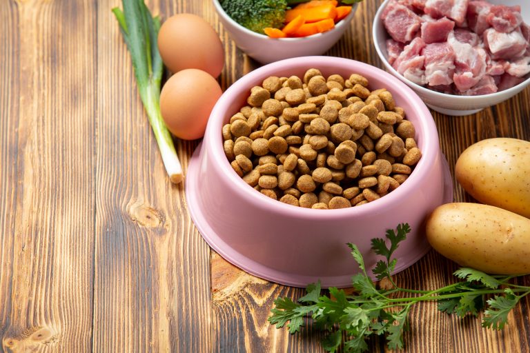 Image appétissante des croquettes Youky à la viande, une expérience culinaire qui comble les instincts carnivores de votre chien