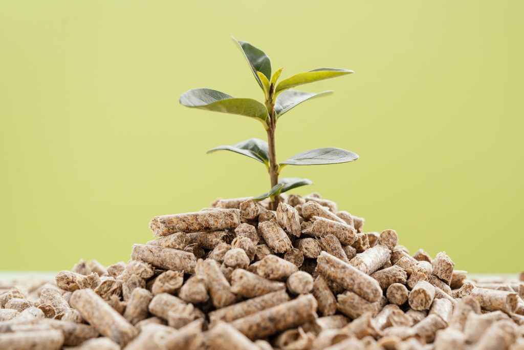 Image représentative des croquettes naturelles de Youky, une ode à la pureté et à la puissance de la nature pour une alimentation canine saine