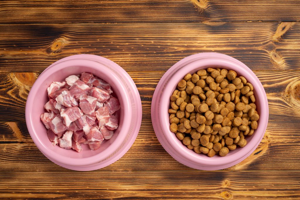 Image illustrative mettant en avant l'utilisation de viande fraîche dans les croquettes de Youky, une source de nutrition premium pour le bonheur canin