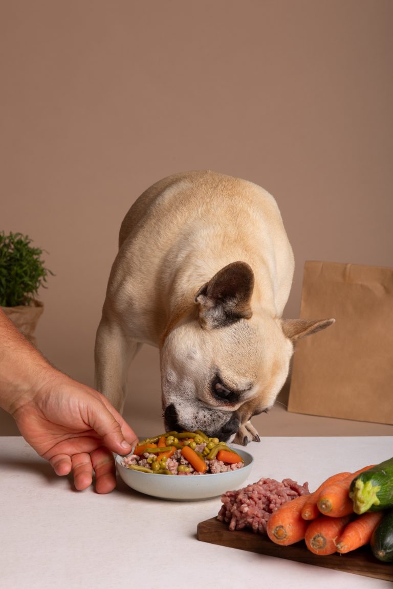 Image illustrative mettant en avant les croquettes enrichies en oméga-3 de Youky, une source précieuse de nutriments pour une santé optimale