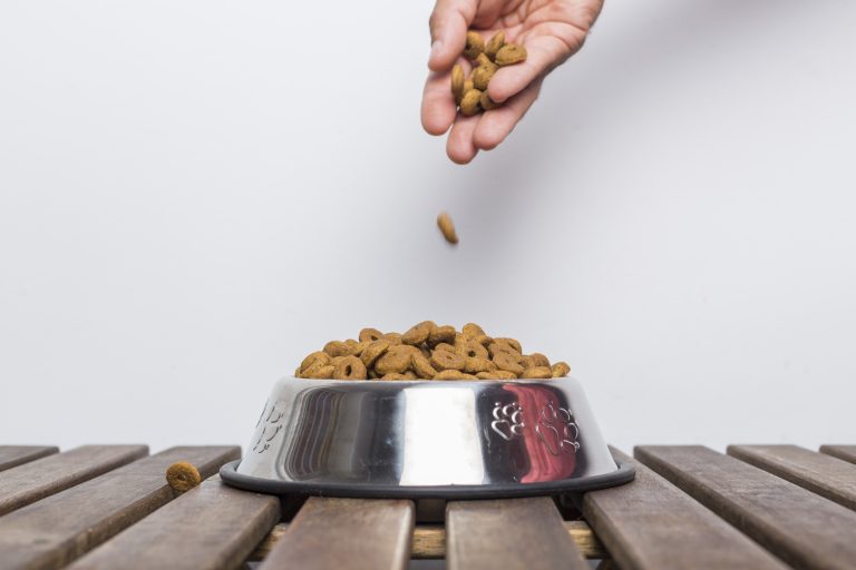 Image représentative des croquettes pour chiens Youky, une invitation visuelle à explorer l'excellence de notre alimentation canine premium