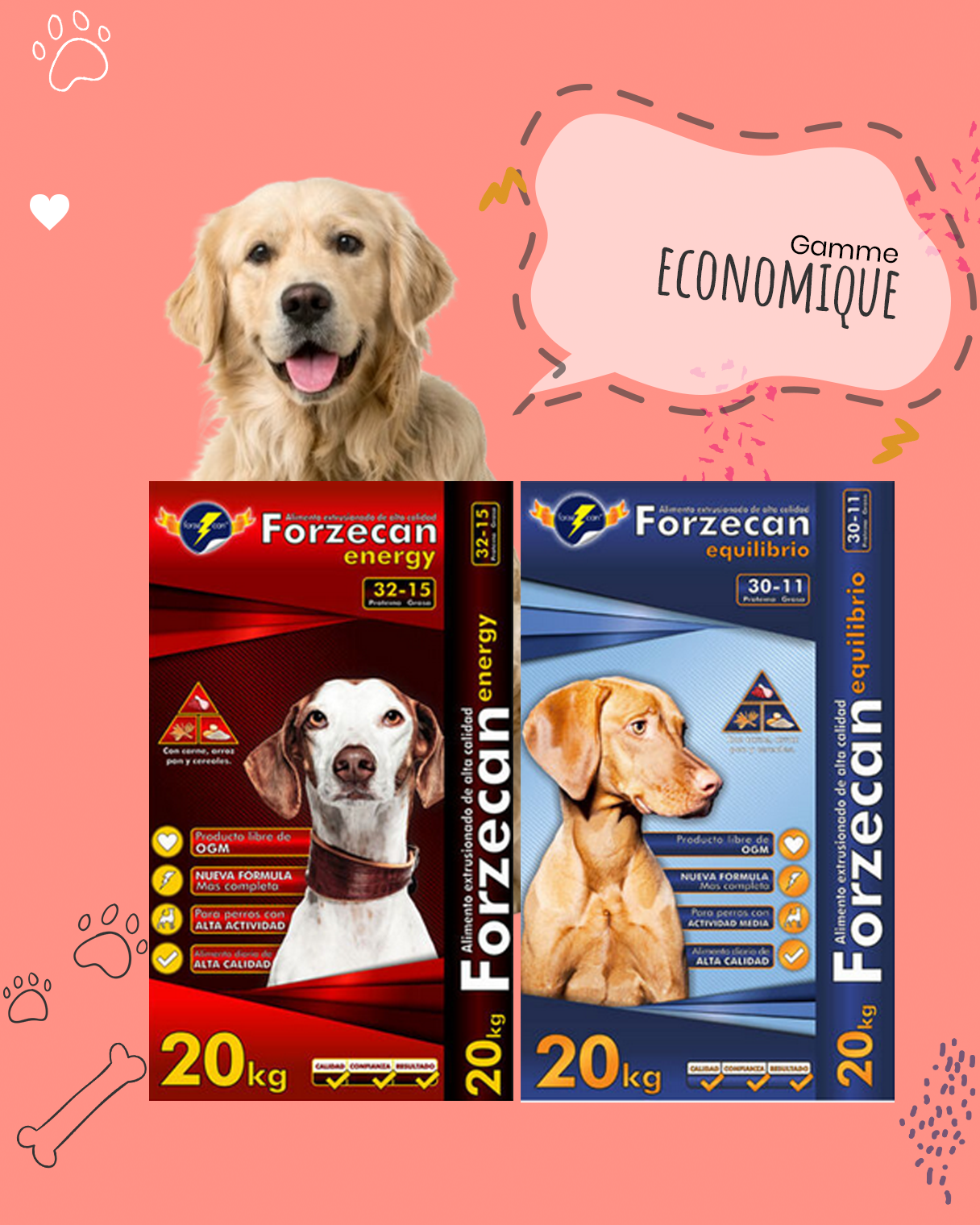 Image illustrant les gammes de croquettes pour chien pas cher de Youky, une solution abordable pour une alimentation canine équilibrée