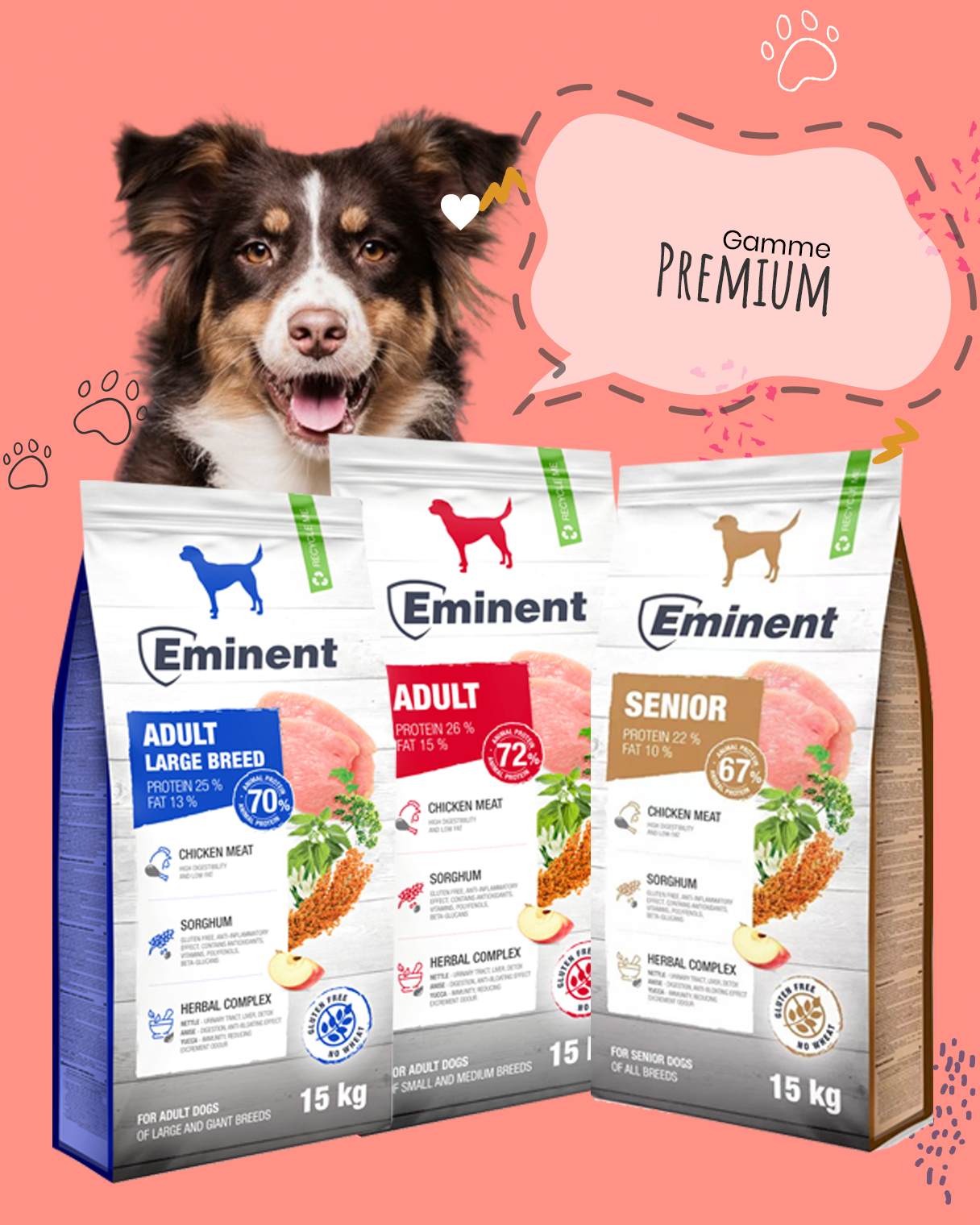 Image représentative de la gamme premium de croquettes pour chien de Youky, une sélection haut de gamme pour une nutrition canine d'exception