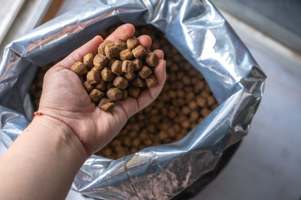 Image illustrant des croquettes pour chiens avec des symboles écologiques en arrière-plan, représentant l'importance de prendre en compte l'impact environnemental de l'alimentation canine