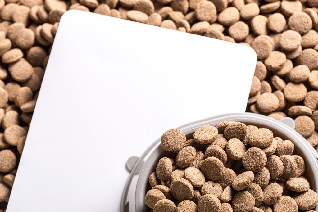 Illustration montrant une étiquette de croquettes pour chiens avec des informations nutritionnelles, ingrédients et recommandations, symbolisant la compréhension des étiquettes pour choisir des aliments de qualité pour votre animal