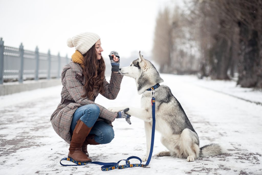 Illustration de personne promenant un chien par temps hivernal, suivant les conseils de sécurité pour les chiens en hiver.