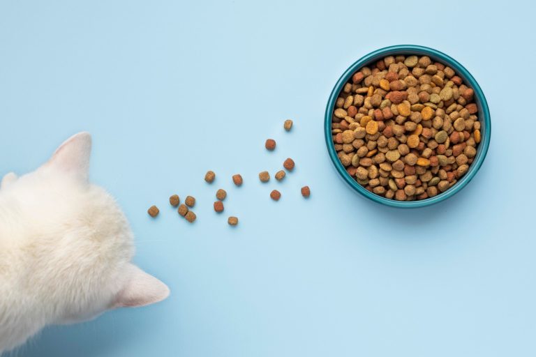 Croquettes sans céréales pour une alimentation équilibrée du chat