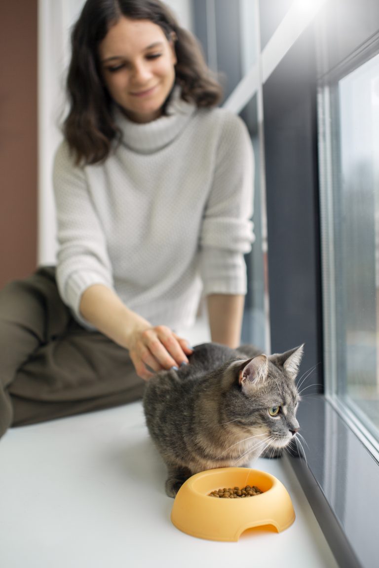 Bol de croquettes formulées pour chats seniors, conçues pour répondre aux besoins diététiques spécifiques des félins âgés.