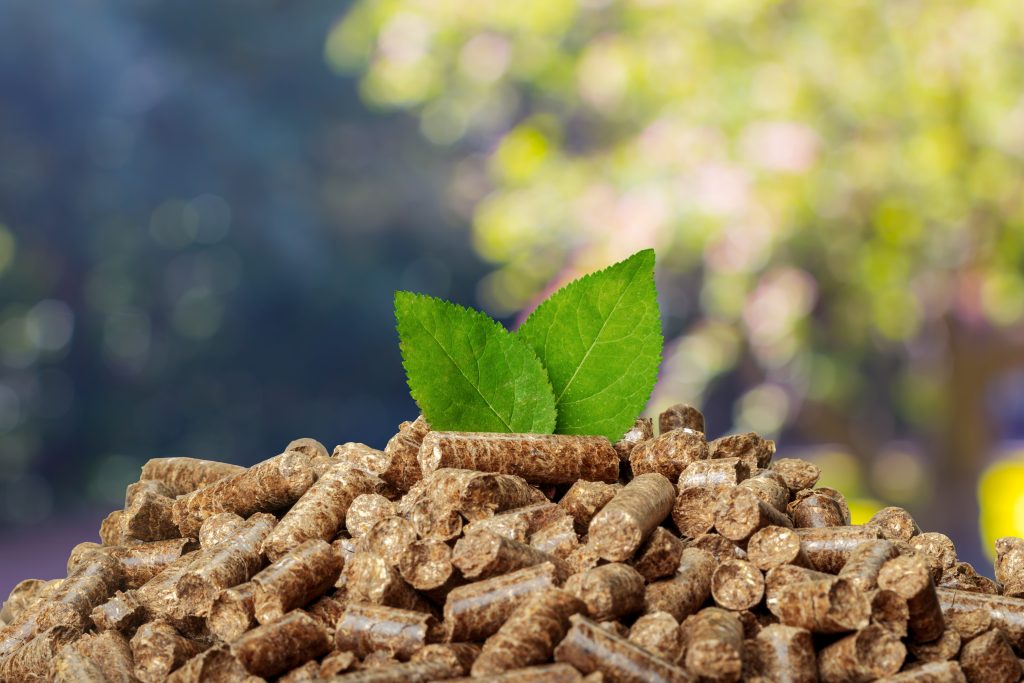 Image illustrant des croquettes écologiques pour chiens et chats, favorisant la durabilité et la protection de l'environnement