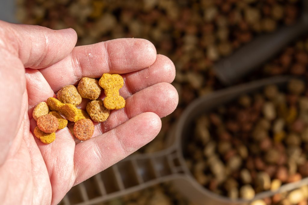 Image illustrant des croquettes bio pour chiens avec des ingrédients naturels, symbolisant la valeur nutritionnelle et la qualité des aliments pour animaux