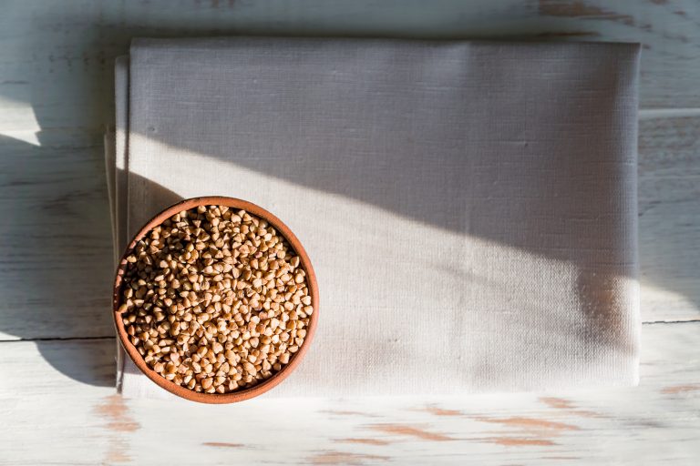 Illustration mettant en avant les avantages des croquettes pour les chats, pour une alimentation équilibrée et pratique