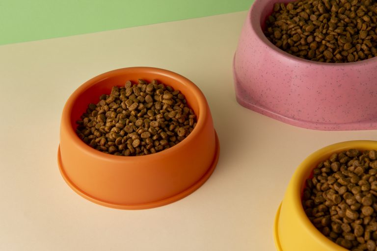 Croquettes pour chats riches en nutriments essentiels, favorisant une digestion saine et un pelage brillant.