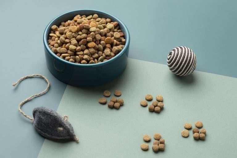 Croquettes de qualité supérieure pour chats, enrichies en nutriments essentiels pour soutenir une vie saine et active.