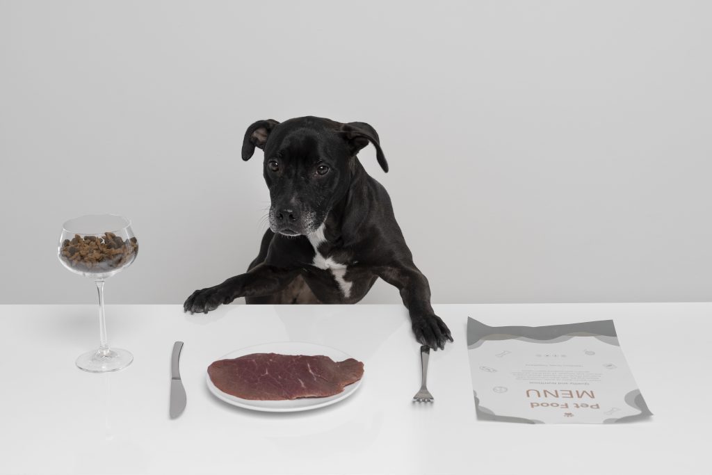 Image illustrant des aliments dangereux pour les chiens