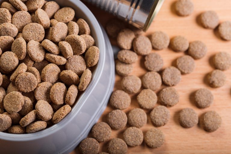 Image illustrant des croquettes bio pour chiens avec des ingrédients naturels, symbolisant la valeur nutritionnelle et la qualité des aliments pour animaux