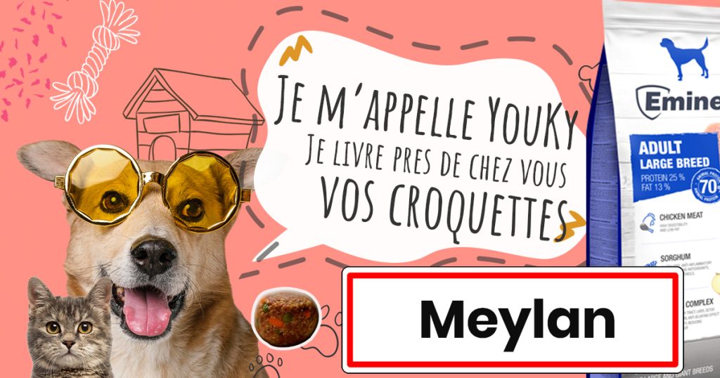 Livraison de croquettes à Meylan