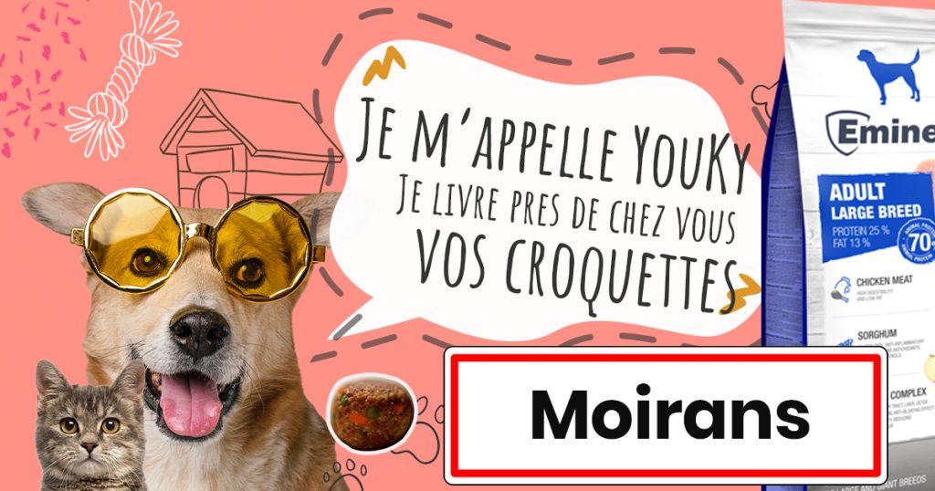 Livraison de croquettes à Moirans